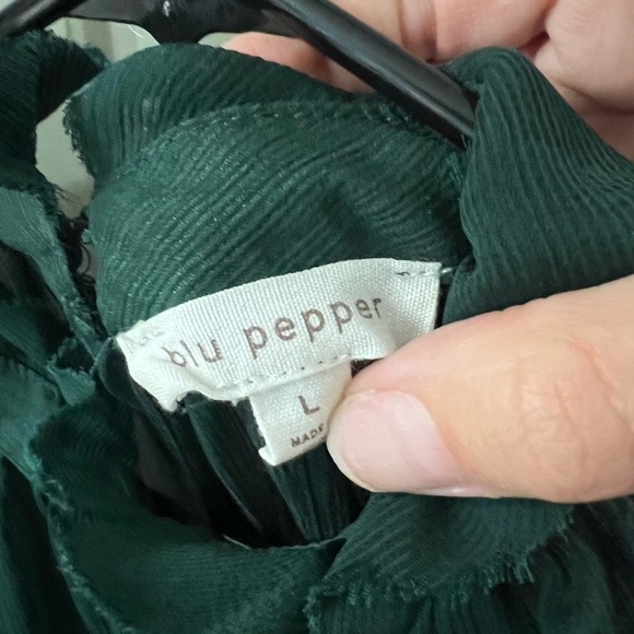 Blu Pepper Green Sheer Women's Top - Picture 4 of 5